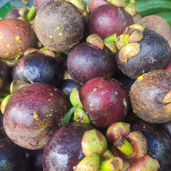 Măng cụt
